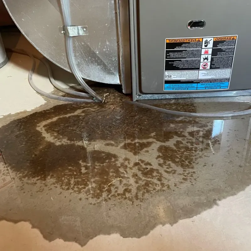 Pipe Burst and Leak Restoration in Garfield Heights, OH