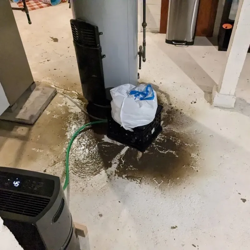 Sewage Backup Cleanup Service in Garfield Heights, OH